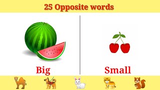 25 Opposite words for kids