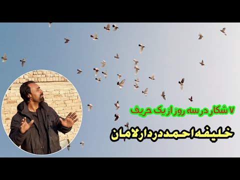 خیل جنگی جالب و دیدنی || واژه Wazha