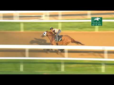 Mystic Guide works on April 16, 2022