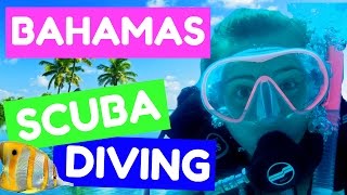 SCUBA DIVING IN THE BAHAMAS | amandaland