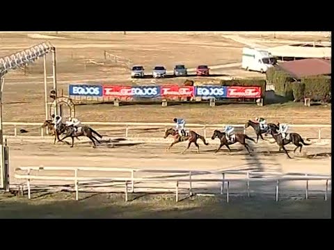 Una corsa indimenticabile per Damnatio Memoriae