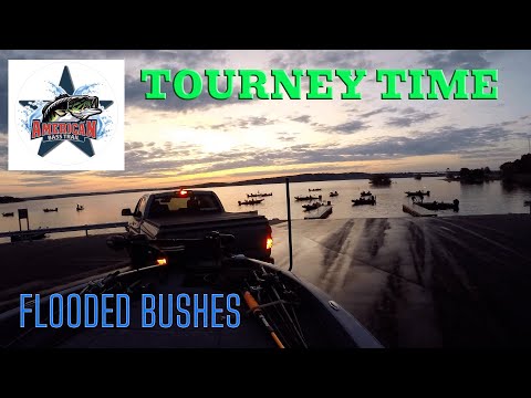 Water Rising Again in the American Bass Trail on Truman Lake Vlog 6-5-2022