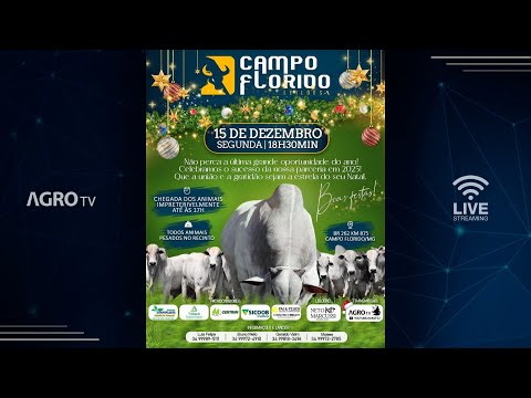 CAMPO FLORIDO LEILÕES - 15/12/2025