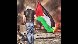 Download lagu Atuna tufuli versi palestina... mp3