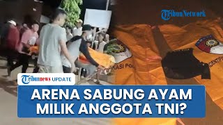 Arena Judi Sabung Ayam Diduga Milik Oknum Anggota TNI yang, IPW Minta TNI Tindak Tegas Anggotanya