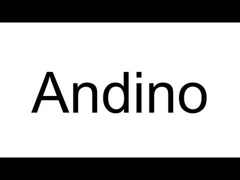 How to Pronounce Andino