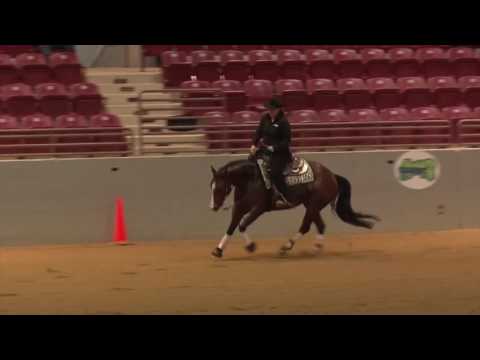 170223 Gina Mc Gee on Layin Down Tracks NH