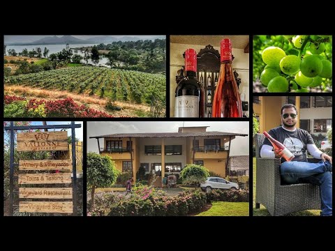 download lagu mp3 mp4 Vallonne Vineyards Booking, download lagu Vallonne Vineyards Booking gratis, unduh video klip Vallonne Vineyards Booking