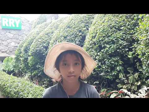 Kursus Bahasa Inggris Rumah Rindang Yns , Nova (kintamani)