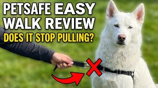 PetSafe Easy Walk Harness Review: Does It Actually Stop Pulling?