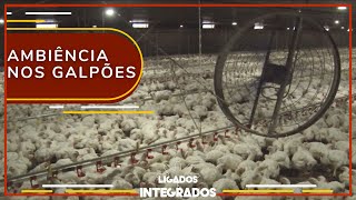 Miniatura do vídeo