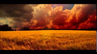 Johnny Hallyday - Elle m&#39;oublie