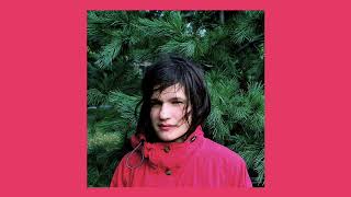 Cover art for Hours were the birds