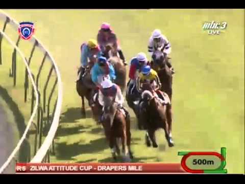 2015.12.06 Attitude International Jockeys' Day (MRI)