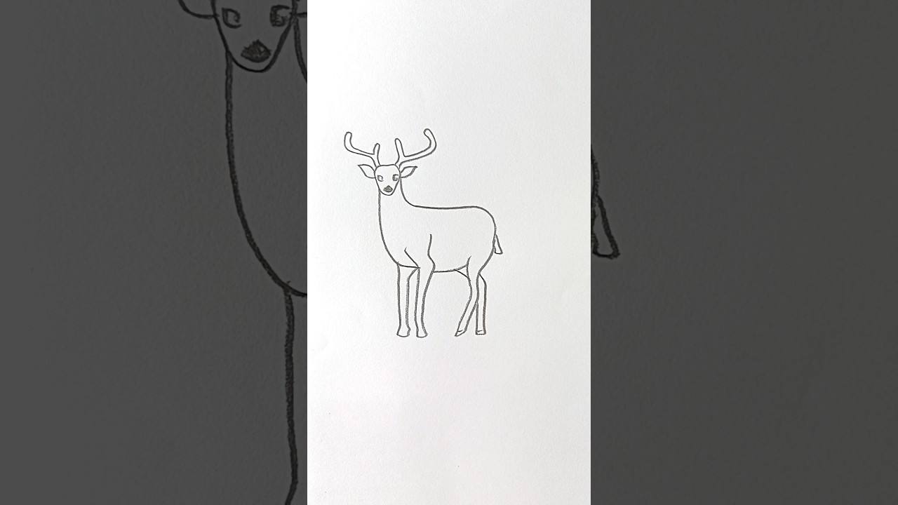 Deer Drawing Easy By Pencil #ytshorts#deerdrawing
