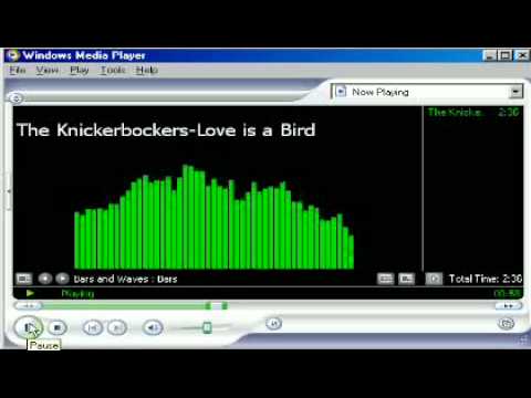 The Knickerbockers-Love is a Bird