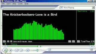 The Knickerbockers-Love is a Bird