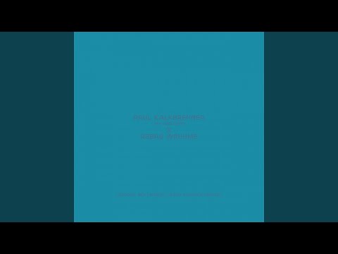 Sky and Sand (Robag's Borsi Alpakka Rehand)