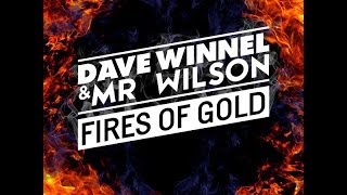 Dave Winnel & Mr. Wilson - Fires Of Gold (Futuristic Polar Bears Remix)