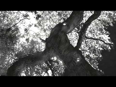 Ritzi Lee - Lucid State [MORD062]