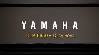 Jual Yamaha Clavinova CLP 665GP CLP 665 GP CLP665 GP 