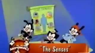 Animaniacs the senses