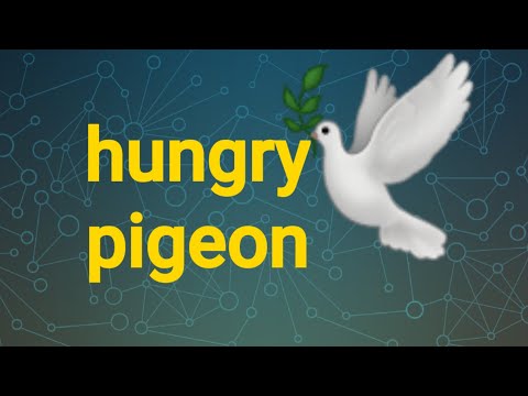 Hungry pigeon