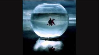Meshell Ndegeocello ~ Aquarium