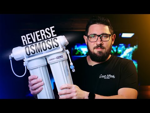 How The REVERSE OSMOSIS System Works?