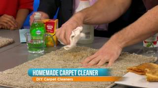 DIY Carpet Cleaner