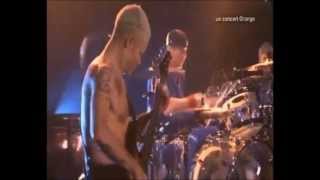 Red Hot Chili Peppers - Pink As Floyd