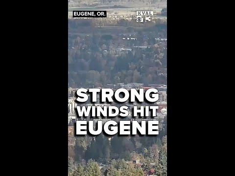 Underground Weather Eugene