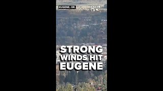 Eugene Weather Time-Lapse: Gusty Winds and Storms Continue Into Thursday