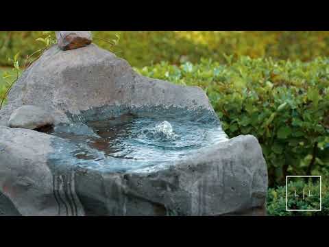 39 Grace James Road, Pukekohe, Franklin, 6 Kuwarto, 3 Banyo, Lifestyle Property