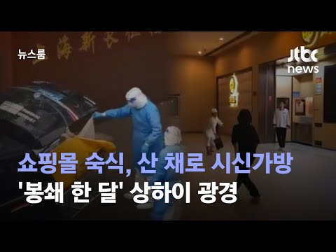 아이콘