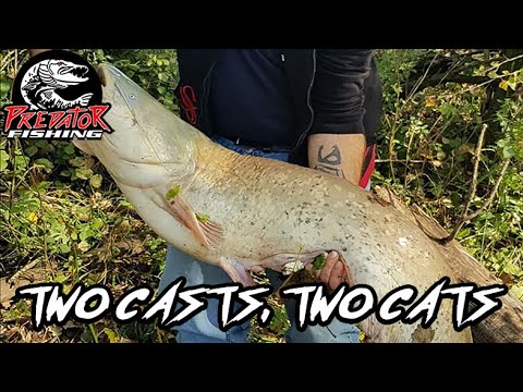 DUE LANCI DUE SILURI - Spinning al siluro con la piena - DOUBLE CATFISH