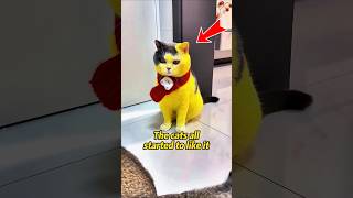 Download lagu The cats all started to like it 😊 ❤️ mp3