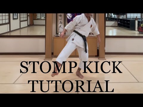 Kansetsu Geri (Stomp Kick) used in traditional Karate.
