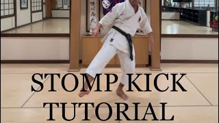 Kansetsu Geri (Stomp Kick) used in traditional Karate.