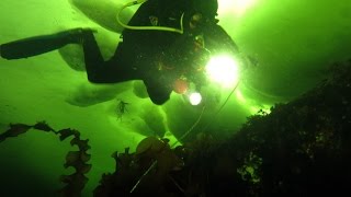 Ice Diving White Sea 2017