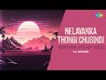 Nelavanka Thongi Chusindi Retro Trap Mix Rajakota Rahasyam Vijaya Krishnamoorthy Yj Music