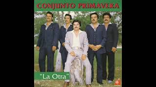 Tu Desastre - Conjunto Primavera