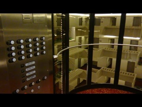 AWESOME & FAST!!! Otis High-Speed Elevators at Hyatt Regency in Atlanta, GA.