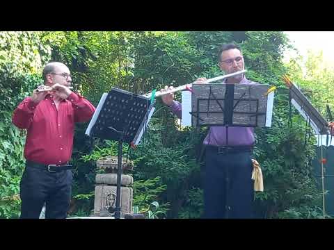 Birds Flute Trio : Herman Beeftink - Birds