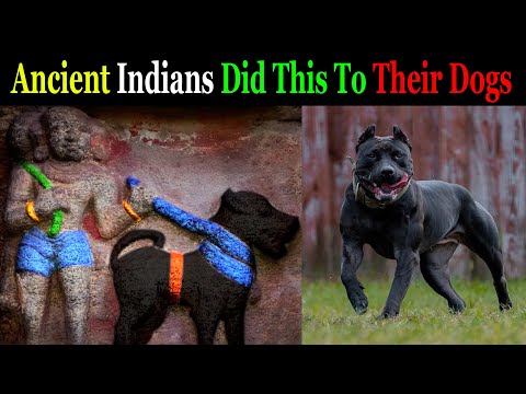 Dogs Reveal That All Ancient Civilizations Followed ONE Religion?