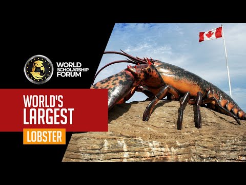 World’s Largest Lobster