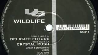 Wildlife- Delicate Future
