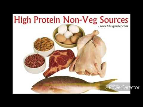 download lagu mp3 mp4 Non Veg Protein, download lagu Non Veg Protein gratis, unduh video klip Non Veg Protein