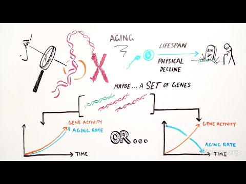 Genetics Of Aging - iBiology & Youreka Science