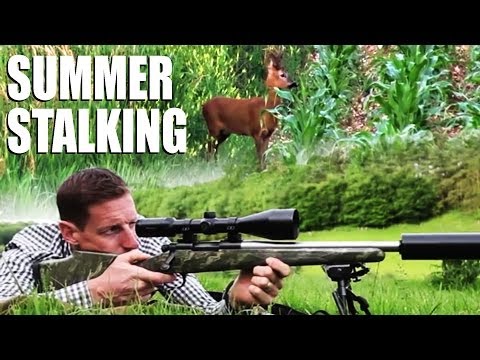 Summer Roebuck Stalking with Paul Childerley